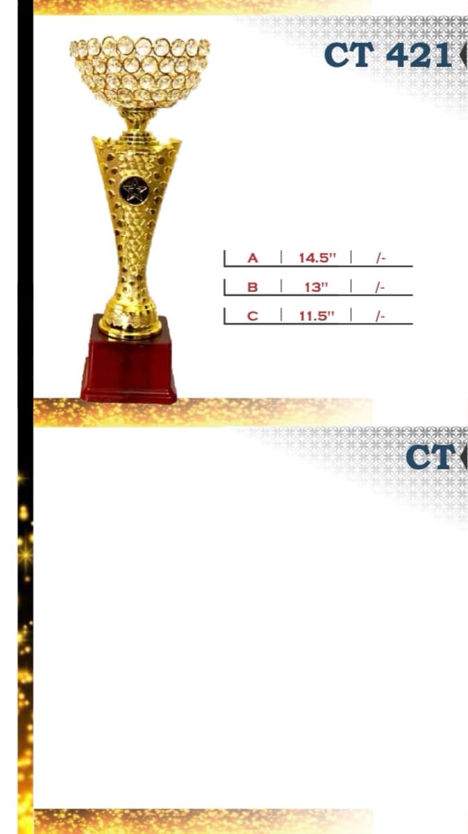 Recognition Trophy CT 421