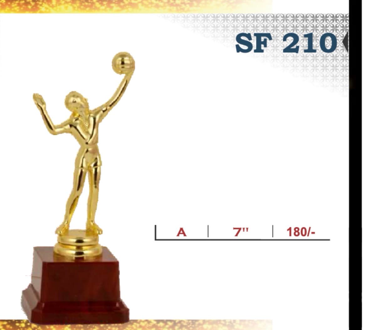 Recognition Trophy SF 210