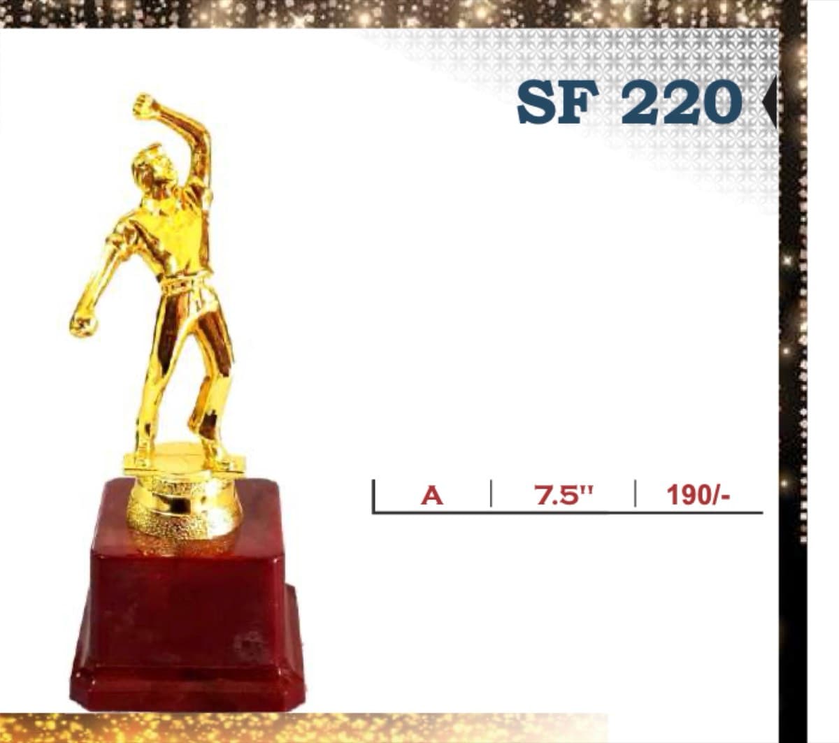 Recognition Trophy SF 220